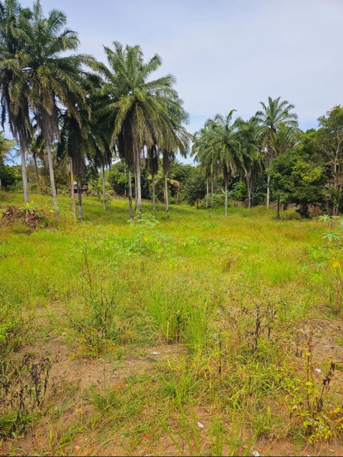 Terreno amplo com 6.000 m² em Trancoso, ideal para projeto de alto padrão ou investimento